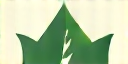 Green Earth Alliance logo, symbolizing sustainability